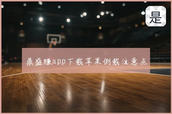 鼎盛赚app下载苹果侧载注意点